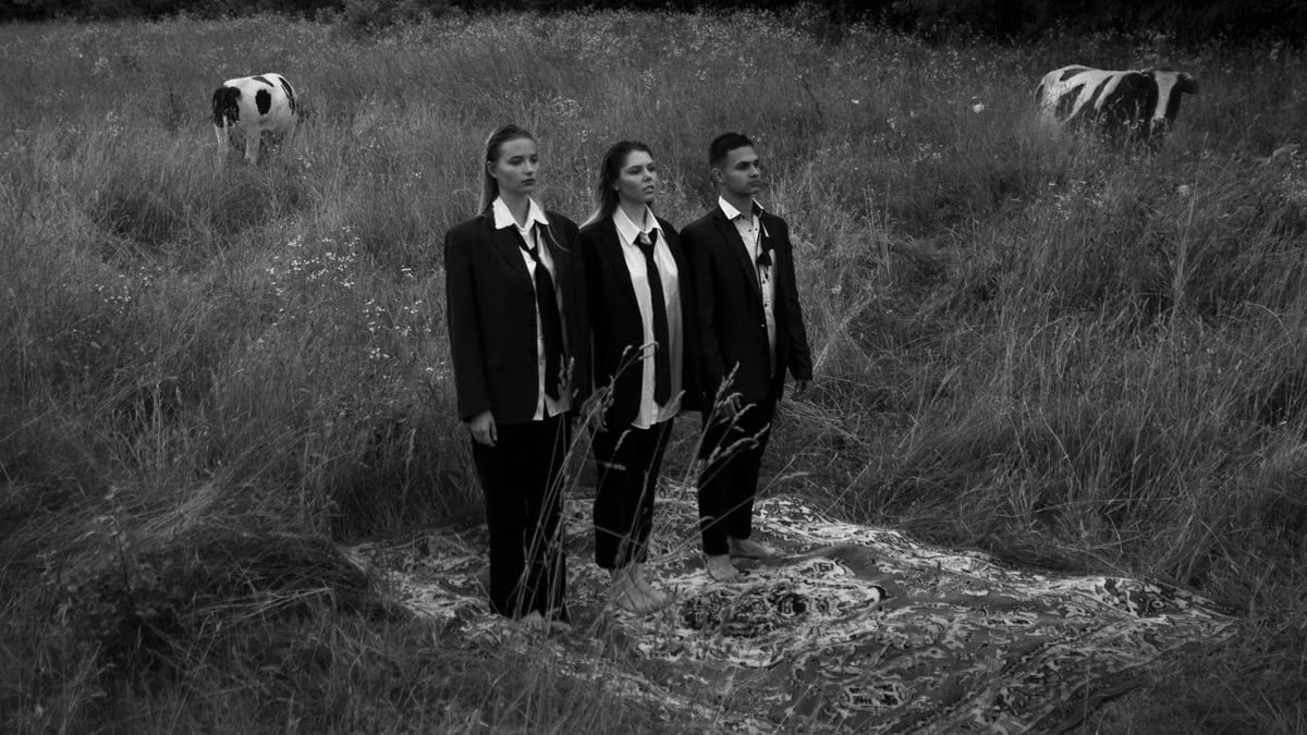 Three adults in suits stand on a patterned carpet in a grassy meadow with cows.